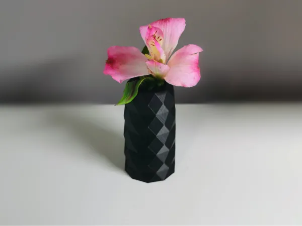 https://makerworld.bblmw.com/makerworld/model/US2ca76b72ef3390/design/2024-08-23_1f94e8a6dfc46.jpg