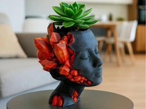 https://makerworld.bblmw.com/makerworld/model/US2ca8baf296223a/design/2025-10-16_6c73275242531.jpg