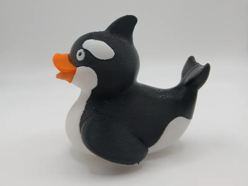 Orca Whale Duck