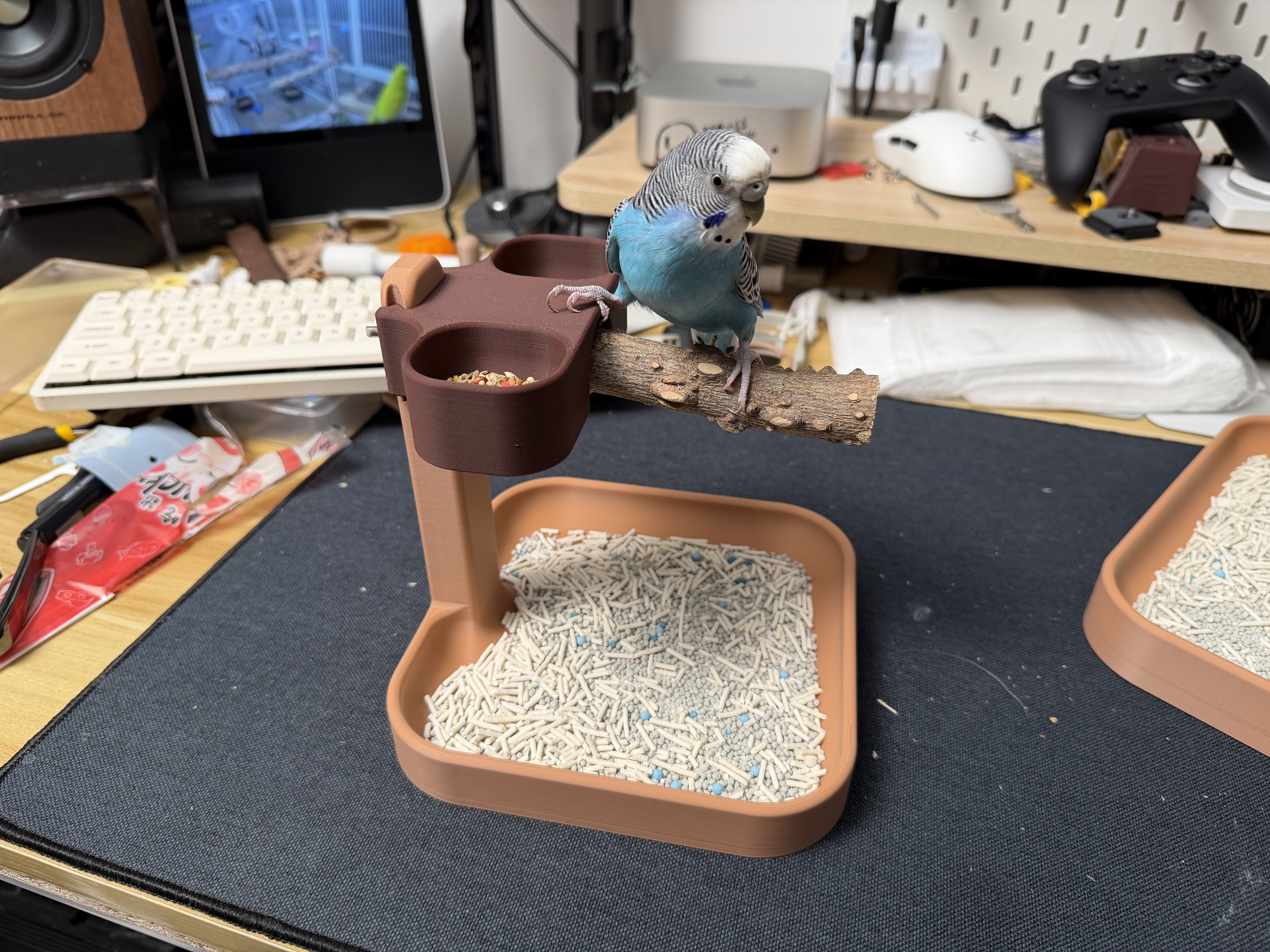 Miniatura 3 do modelo 3D 鹦鹉桌面站架V3|模块化/站杆/休息