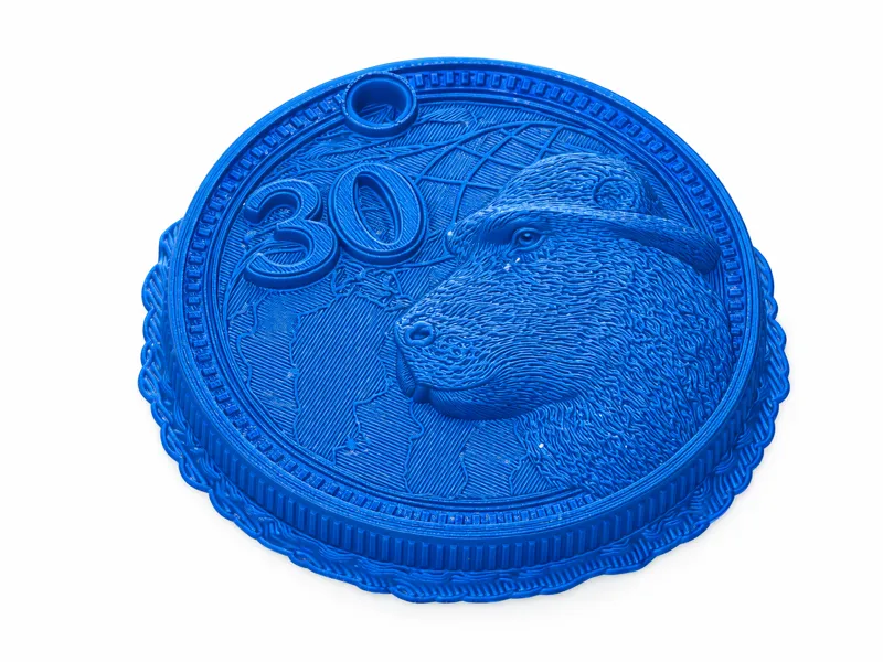 moneda capibara de 6cm