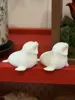 Yelling Seal - Fuzzy Effect