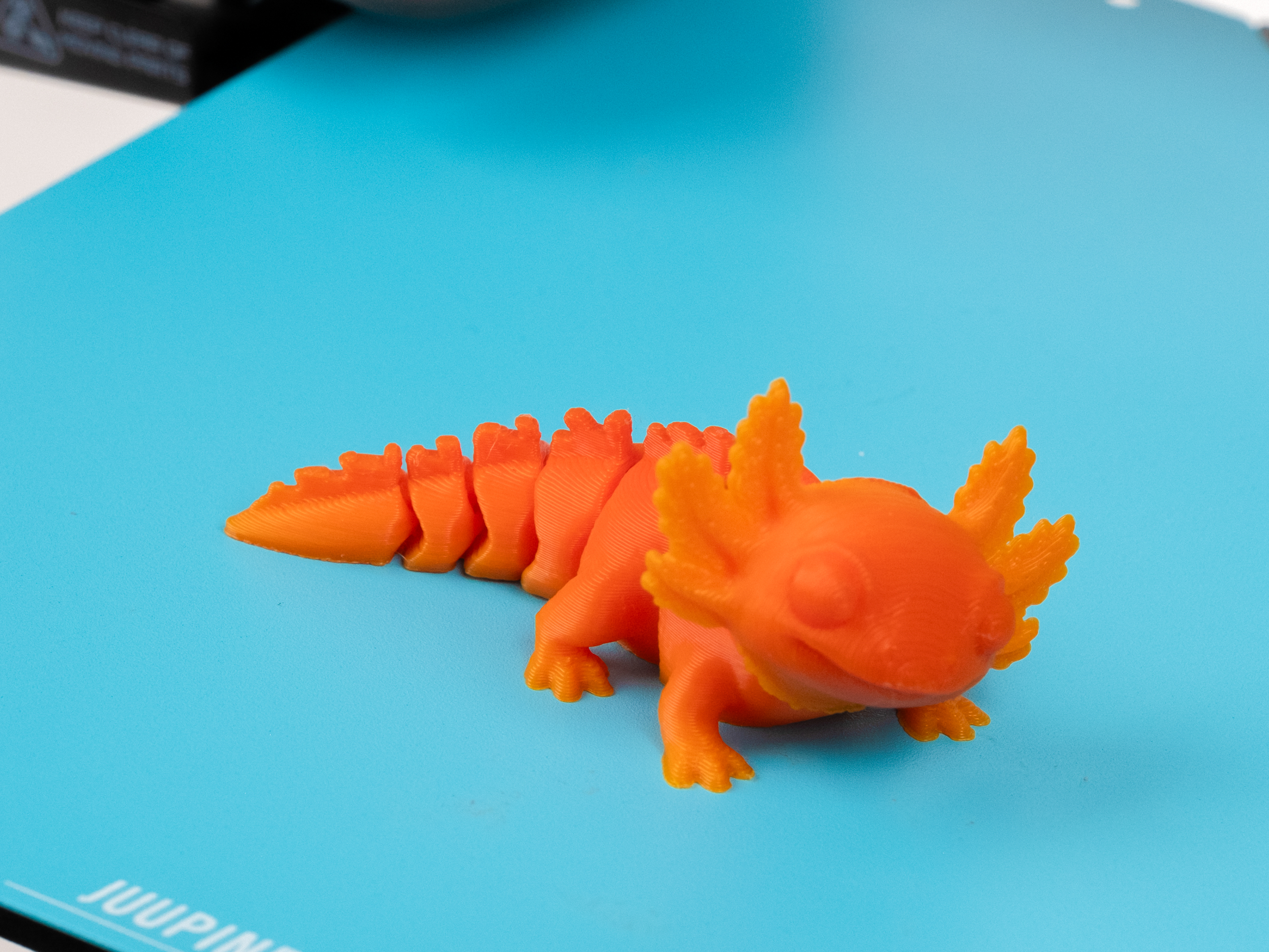 FLEXI AXOLOTL - 1