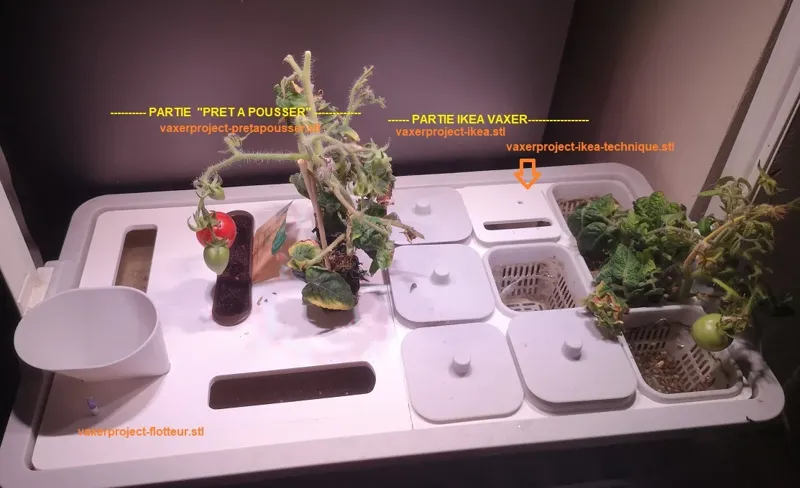 Vaxer Project (hydroponic)