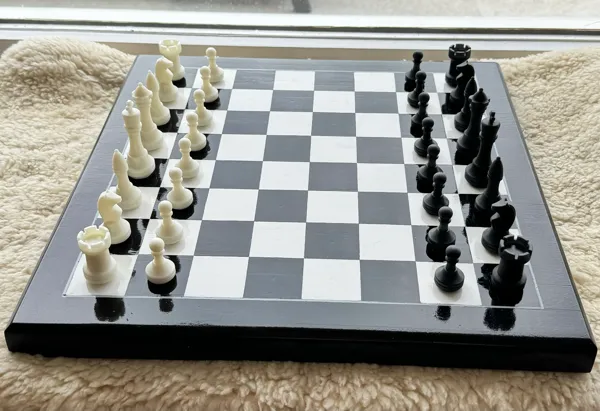 https://makerworld.bblmw.com/makerworld/model/US2cb7dbd77f04f2/design/2024-04-02_ca529022709e98.jpeg