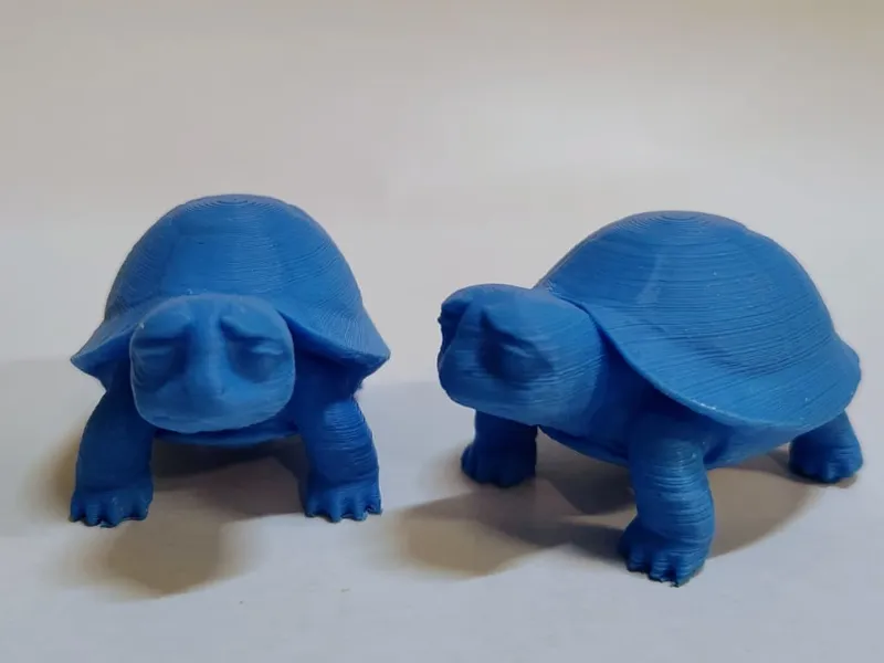 traurige Schildkröte