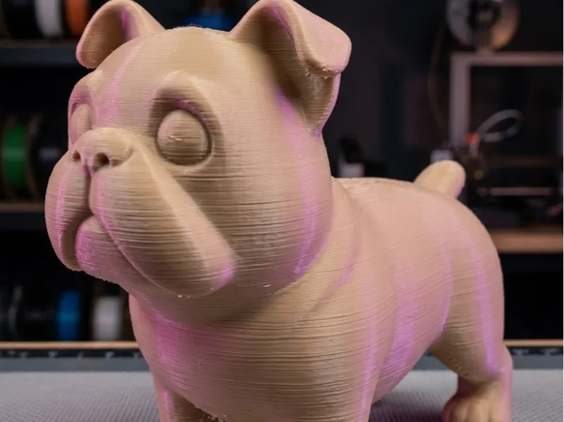 English Bulldog v1