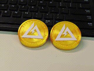 Delta Force Havi Coin EDC Decompression Toy