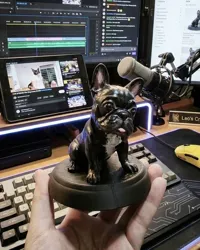 0.08mm layer, 2 walls, 15% infill