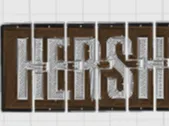 Hershey Chocolate Bar Fidget Flexi
