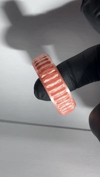 Simple Cover - no arms - 0.2mm layer, 2 walls, 15% infill