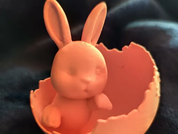 https://makerworld.bblmw.com/makerworld/model/US2cd0da240c08e3/design/2025-03-10_10ab42760b9ff.jpg