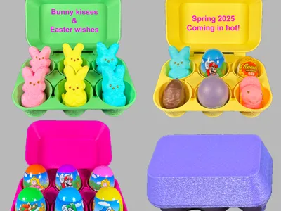 Egg Carton and Lid, Full-size eggs