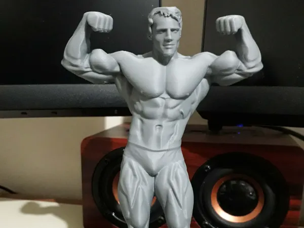 https://makerworld.bblmw.com/makerworld/model/US2cd31292ba8f1b/design/2025-12-24_6cc48c2a3ae668.jpeg