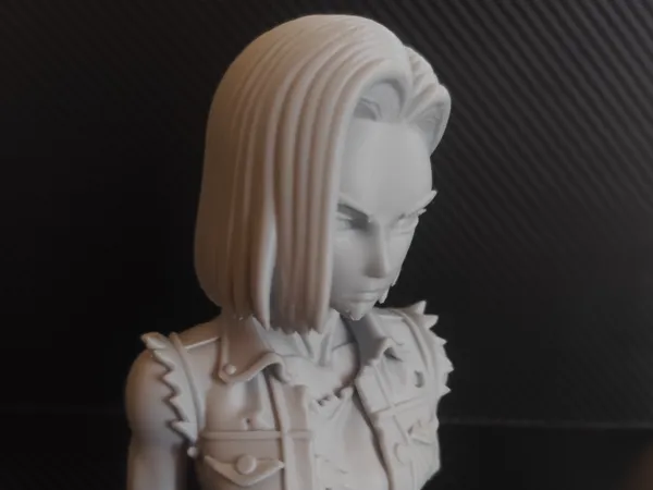 https://makerworld.bblmw.com/makerworld/model/US2cd3809386090f/design/2025-07-26_ff88ec7a4da14.jpg