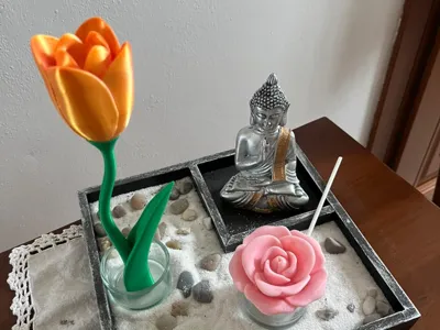 tulip