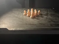 0.2mm layer, 2 walls, 20% infill