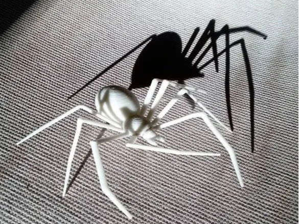 Halloween Spider
