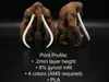 0.2mm layer, 2 walls, 8% infill