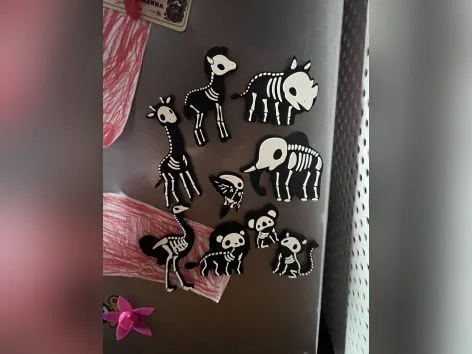 Cute animal skeletons magnets 3