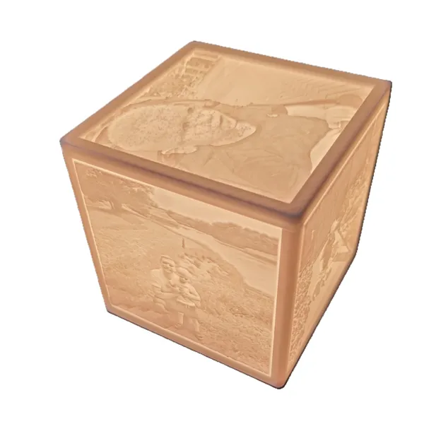https://makerworld.bblmw.com/makerworld/model/US2ce2037576f3f7/design/2024-07-25_8ed087273903e.jpg
