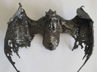 Dragon Queen NLogan