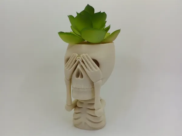 https://makerworld.bblmw.com/makerworld/model/US2ce37ab5cc101f/design/2025-07-13_2160469037a368.jpg