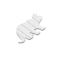 Tricératops flexible articulé — photo 3
