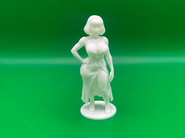 https://makerworld.bblmw.com/makerworld/model/US2cefbc5e800a5a/design/2026-01-07_5125869599df58.jpeg