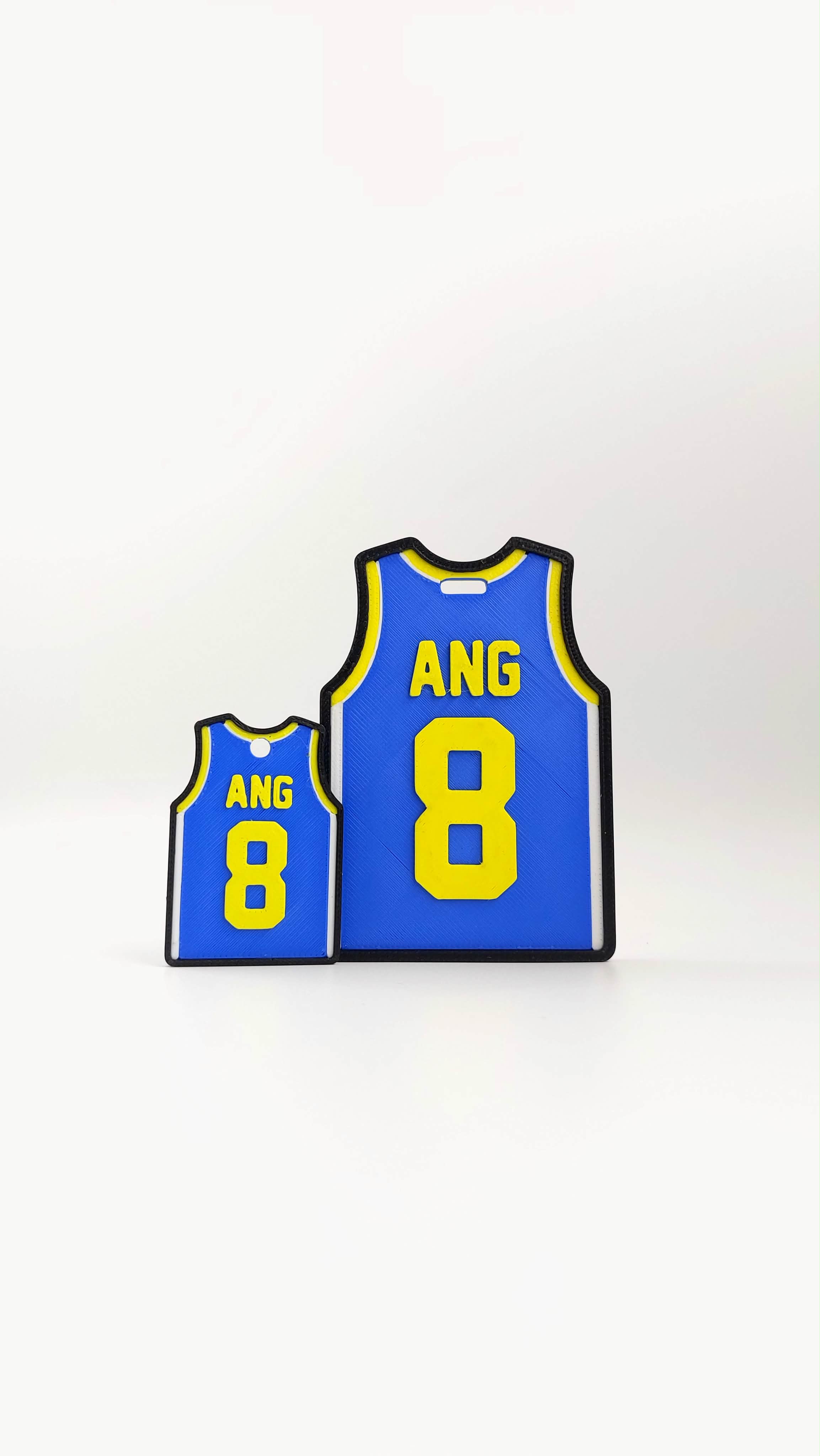 Luggage Tag Version