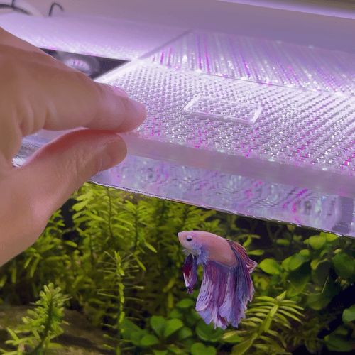 https://makerworld.bblmw.com/makerworld/model/US2cf1cd35533721/design/2025-10-03_c0d000d9ce33f8.gif