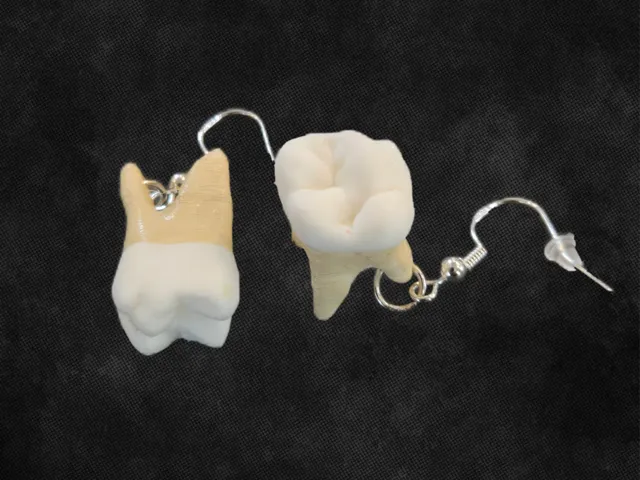 Molar Earrings - With Optional Crown