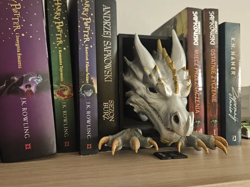 Dragon Book nook  / smok 