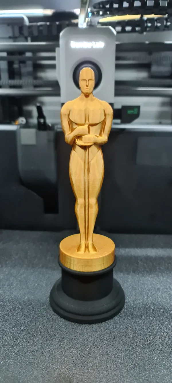 https://makerworld.bblmw.com/makerworld/model/US2cf5777b294dde/design/2023-12-22_cc786852a9046.jpg
