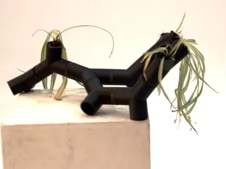 Spider plant pot_ Art style