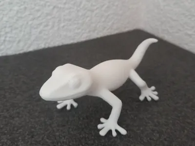 Minimalist Gecko