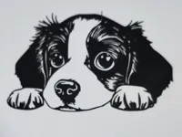 Chiot — décoration murale — photo 2