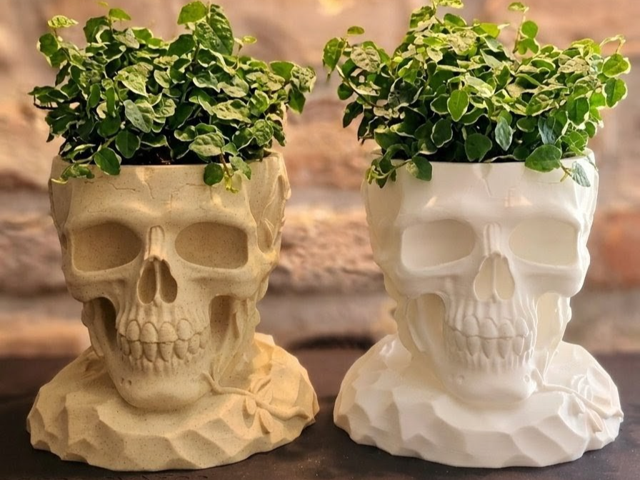 Rebirth – Skull Planter