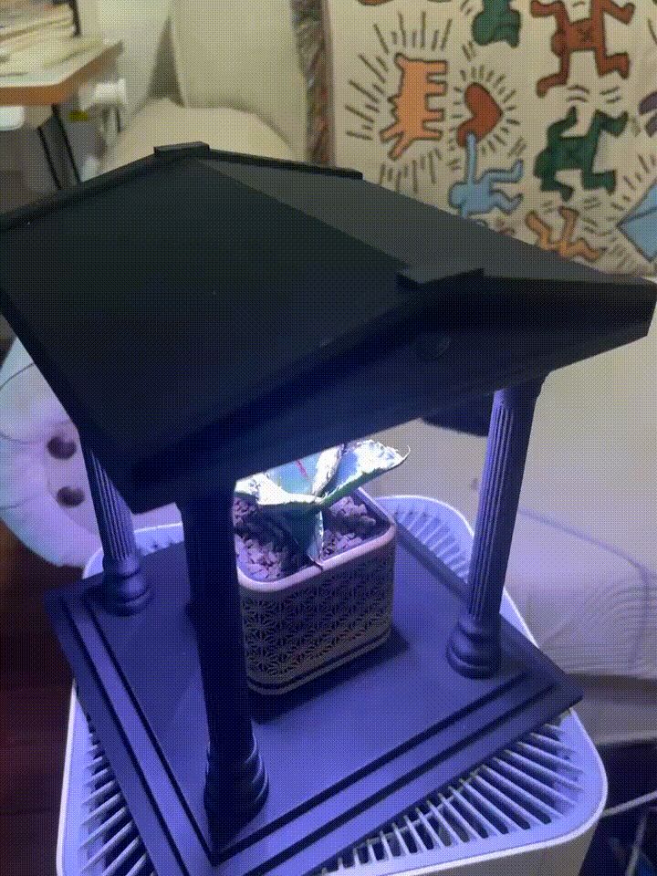 Plant Temple