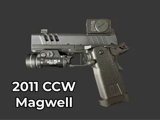 2011 Magwell