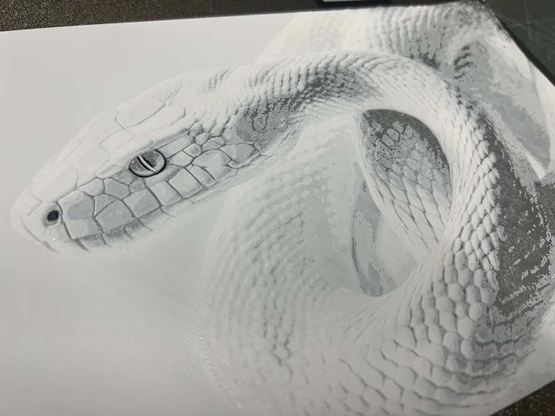 Year of the Snake - HueForge