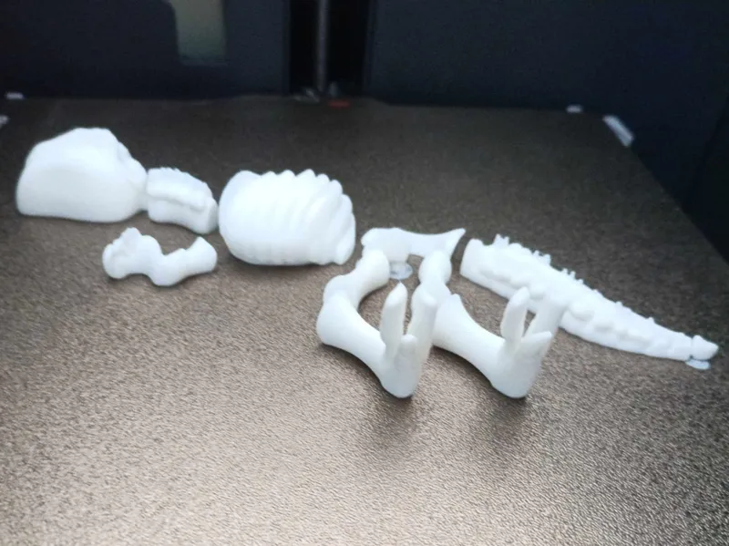 Dinosaur bones