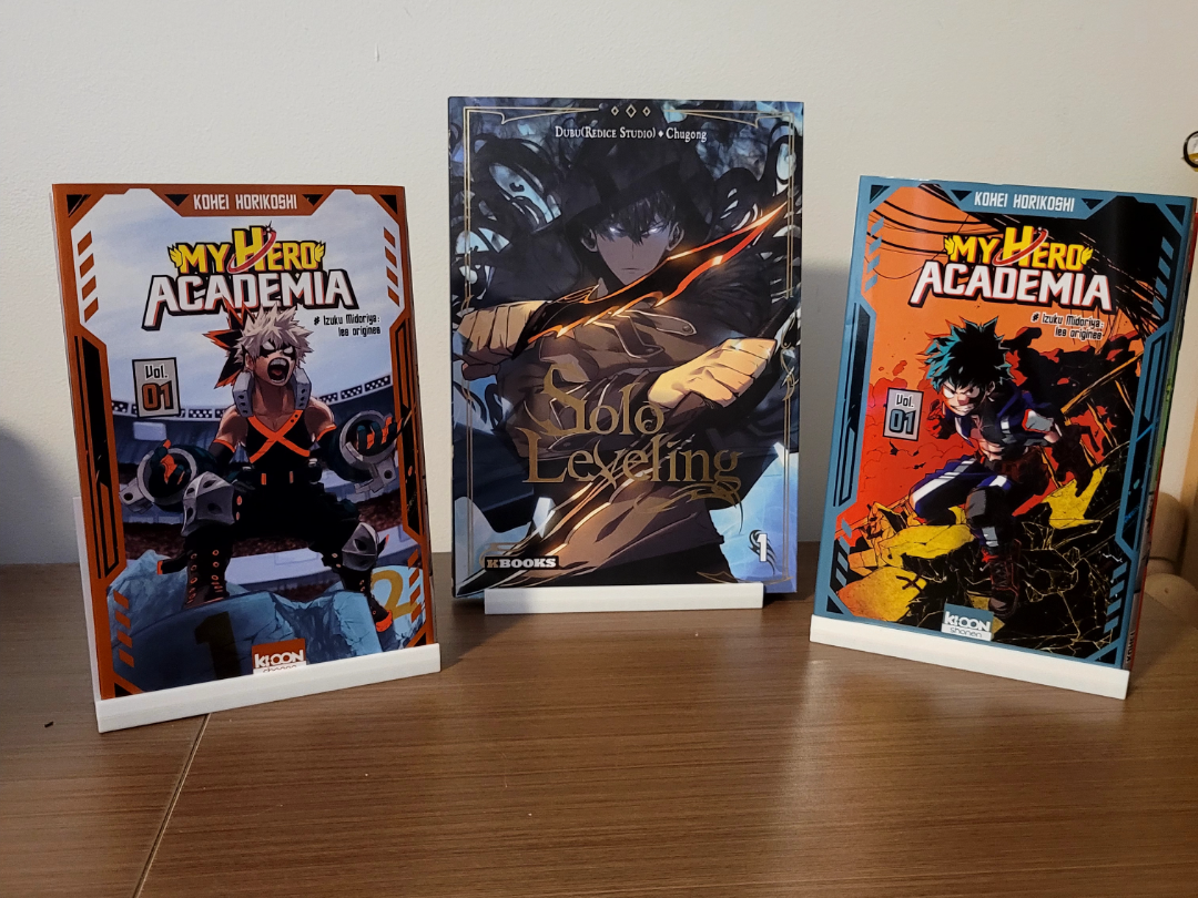 présentoir à mangas / livre