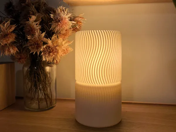 https://makerworld.bblmw.com/makerworld/model/US2d1b420d165679/design/2025-12-19_77ab759690fe4.jpg
