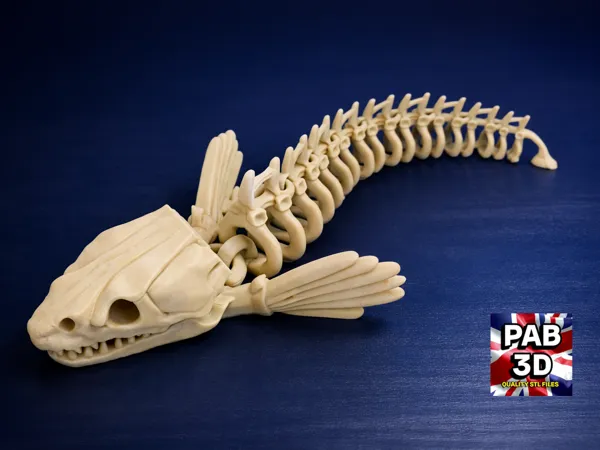 https://makerworld.bblmw.com/makerworld/model/US2d1b4c5ebc3b66/design/978bad34d3e273de.png