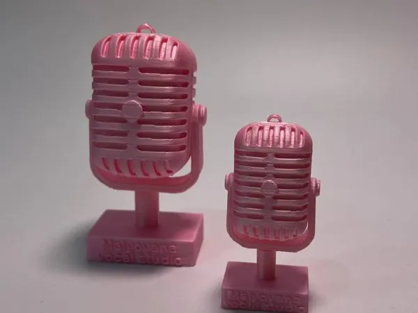 https://makerworld.bblmw.com/makerworld/model/US2d1dc4d007b5c8/design/2025-12-12_cc2b906761ee9.jpg