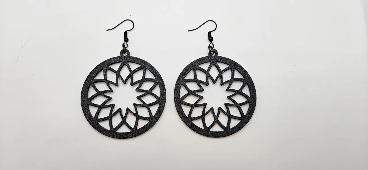 Large Round Earrings view 2