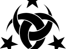 Special Organization