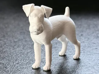 Mini Schnauzer