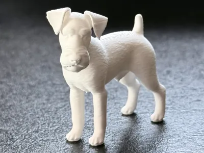 Mini Schnauzer